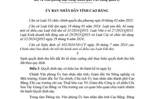 Cao Bằng: Thu hồi đất cho thuê thực hiện dự án Nhà máy sản xuất than cốc