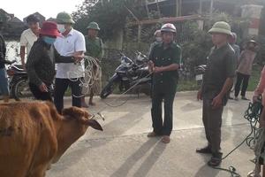 Quảng Bình: Hiệu quả giảm nghèo từ triển khai đồng bộ, toàn diện nhiều chính sách