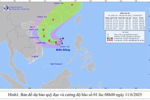 Áp thấp nhiệt đới trên biển Đông đã mạnh lên thành bão số 1- WUTIP
