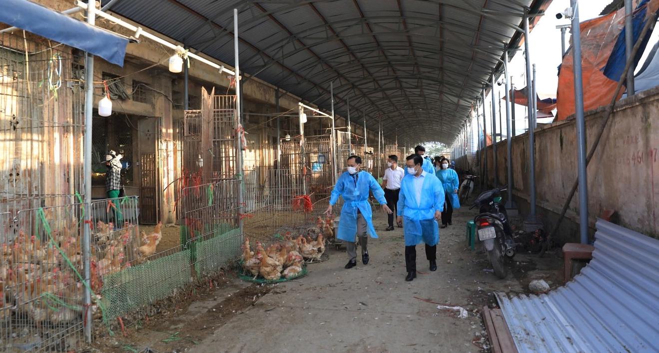 Hà Nội khảo sát an toàn thực phẩm tại nơi có nhiều chợ đầu mối quy mô lớn