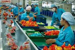 Nghị quyết 68 - Chìa khóa bứt tốc cho doanh nghiệp