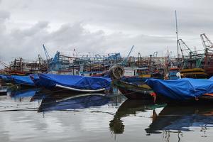 Quảng Trị: Chủ động ứng phó với bão số 1 và mưa lũ diện rộng