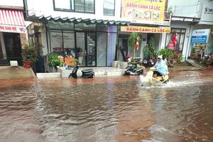 Đắk Lắk khẩn trương ứng phó nguy cơ mưa lớn, sạt lở đất, lũ quét