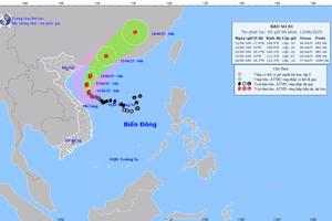 Bão mạnh lên cấp 10, mưa mở rộng ra đồng bằng Bắc Bộ