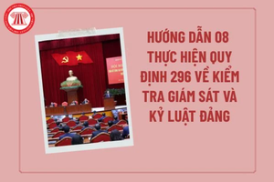 Ban Bí thư ký ban hành Hướng dẫn số 08 về thực hiện một số nội dung của Quy định 296