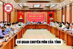 Quy định tổ chức các cơ quan chuyên môn thuộc UBND tỉnh, UBND xã