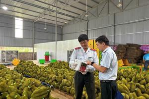 Thủ phủ sầu riêng phấn đấu không để lô hàng nào bị trả về vì nhiễm chất cấm
