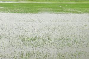Trung bộ xuất hiện mưa lũ, nắng gắt thất thường