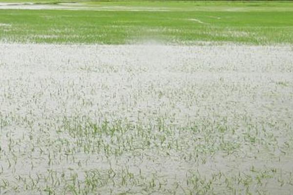 Trung bộ xuất hiện mưa lũ, nắng gắt thất thường