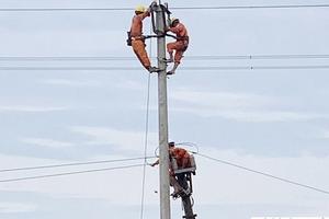 Thanh Hoá: Đã khắc phục hoàn toàn 19 cột điện đường dây 22kv bị gãy sau mưa dông