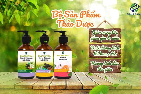 OKula Group: Bí Quyết Chăm Sóc Nhà Cửa An Toàn, Tinh Túy Từ Thiên Nhiên Việt