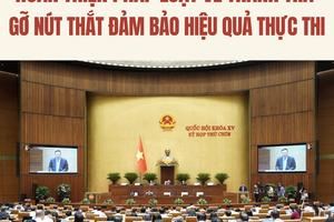 Hoàn thiện pháp luật về thanh tra: Gỡ nút thắt đảm bảo hiệu quả thực thi