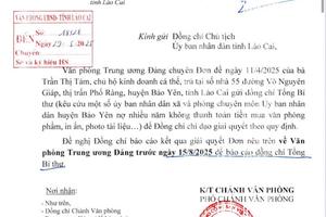 Nhiều cơ quan tại huyện Bảo Yên bị "tố" nợ tiền tỷ, Chủ tịch UBND tỉnh Lào Cai chỉ đạo khẩn