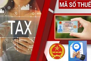 Sử dụng số định danh cá nhân thay cho mã số thuế từ ngày 1/7: Mang lại nhiều lợi ích