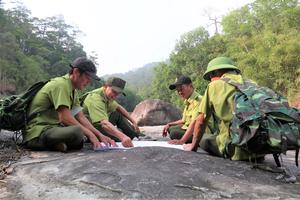 Đắk Lắk đẩy mạnh phát triển rừng, kiến tạo “lá phổi xanh” bền vững