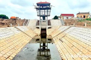 Hải Dương: Sở Nông nghiệp và Môi trường chỉ đạo thực hiện kết luận thanh tra