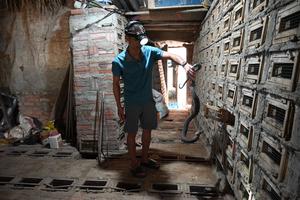 15 năm gắn bó với hổ mang phì