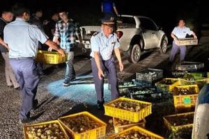 Bắc Giang tăng cường thanh tra, kiểm tra sản phẩm giống vật nuôi