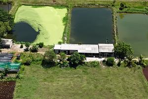 Quảng Trị: Huyện Gio Linh cần đôn đốc chỉ đạo xử lý các nội dung đã nêu trong kết luận