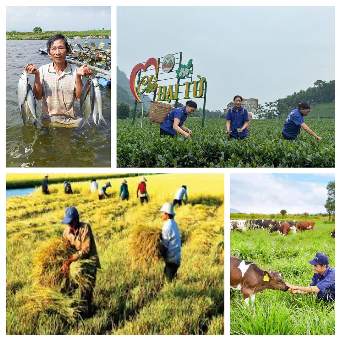 Tổng điều tra nông thôn, nông nghiệp năm 2025 rộng khắp trong cả nước diễn ra từ 1/7