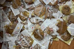 Công an tỉnh Tuyên Quang triệt phá chuyên án, thu giữ gần 10kg ma tuý các loại