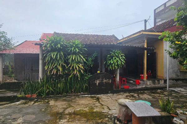 Quảng Bình: Toà tuyên người cháu ngoại trả lại đất cho các cậu, dì