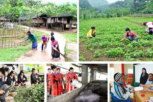 Đầu tư công vốn ngân sách Trung ương thực hiện Chương trình mục tiêu quốc gia giảm nghèo bền vững