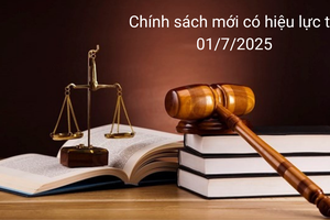 Nhiều chính sách mới có hiệu lực từ 1/7