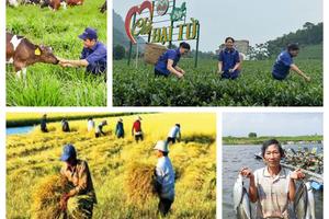 Tổng điều tra nông thôn, nông nghiệp năm 2025 rộng khắp trong cả nước diễn ra từ 1/7