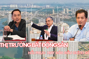 Doanh nghiệp bất động sản mới tăng: Tín hiệu phục hồi hay đón đầu chính sách?