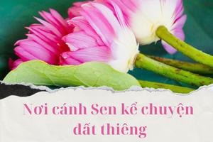 Nơi cánh sen kể chuyện đất thiêng