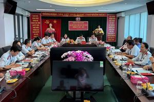 Sai phạm trong đấu giá quyền sử dụng đất tại huyện Long Hồ, tỉnh Vĩnh Long (cũ)