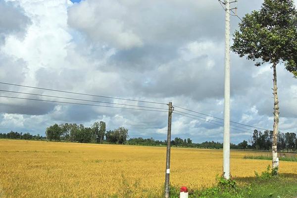 Sai phạm từ tài chính đến đất đai tại Công ty TNHH Nông lâm nghiệp Kiên Giang: Trách nhiệm thuộc về ai?