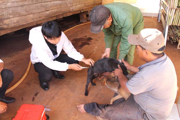 Thanh niên Đắk Lắk tử vong vì chủ quan với vết chó cắn