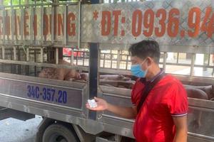Phú Thọ: Phát hiện, xử lý vụ vận chuyển 1,6 tấn thịt nhiễm dịch tả lợn châu Phi