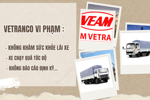 Phát hiện vi phạm tại Công ty Cổ phần Vận tải và Thương mại VEAM