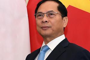 Phát huy vai trò, sứ mệnh mới của Đảng bộ Bộ Ngoại giao trong kỷ nguyên vươn mình của dân tộc