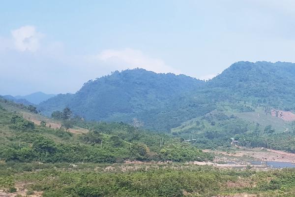 An Giang (cũ): Nhiều hạn chế, vi phạm trong quản lý, sử dụng đất rừng