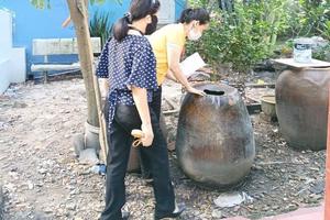 Hơn 32.000 trường hợp mắc sốt xuất huyết từ đầu năm 2025 đến nay