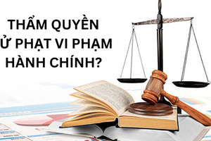 Quy định thẩm quyền xử phạt vi phạm hành chính