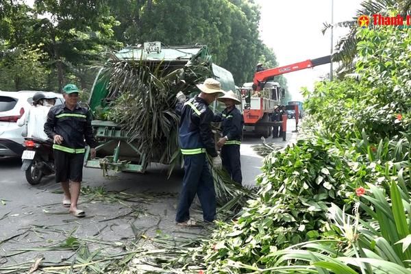 Hà Nội ra quân chỉnh trang cây xanh, đô thị, sẵn sàng cho Đại lễ 80 năm Cách mạng Tháng Tám và Quốc khánh 2/9