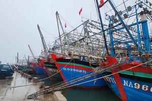 Quảng Trị: Chủ động ứng phó bão số 3 (Wipha), bảo đảm an toàn cho người và tài sản