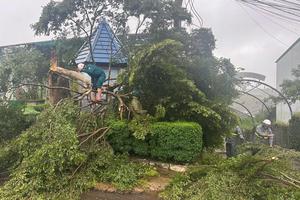 Lâm Đồng: Đảm bảo an toàn cho khách du lịch trong thời điểm bão số 3 diễn biến phức tạp