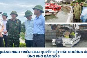 Quảng Ninh triển khai quyết liệt các phương án ứng phó bão số 3