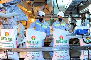 Doanh nghiệp sản xuất phân bón còn dư địa để giảm giá