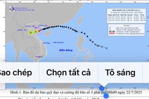 Bão đổ bộ hôm nay, đỉnh điểm mưa to, gió giật