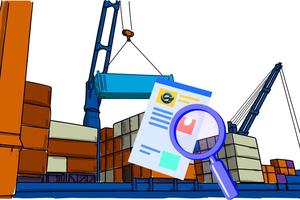 Thanh tra Chính phủ báo cáo tiếp thu, giải trình dự thảo Nghị định về kiểm tra chuyên ngành