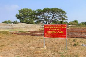 Thành phố Hồ Chí Minh: Tăng cường lãnh, chỉ đạo trong công tác quản lý Nhà nước về xây dựng, trật tự xây dựng