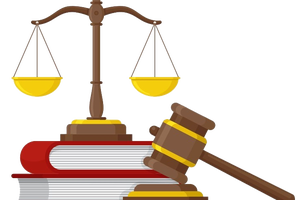 ĐỀ CƯƠNG HƯỚNG DẪN THỰC HIỆN THANH TRA CHUYÊN ĐỀ THEO KẾ HOẠCH 1505/KH - TTCP