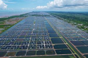 Cà Mau phấn đấu tăng trưởng 8% trở lên, hướng đến phát triển bền vững